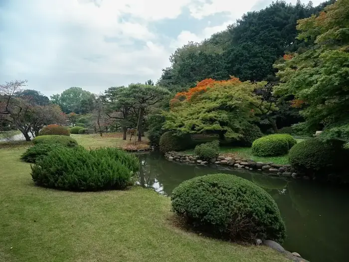 Jardin paysager entretenu avec arbustes taillés et bassin