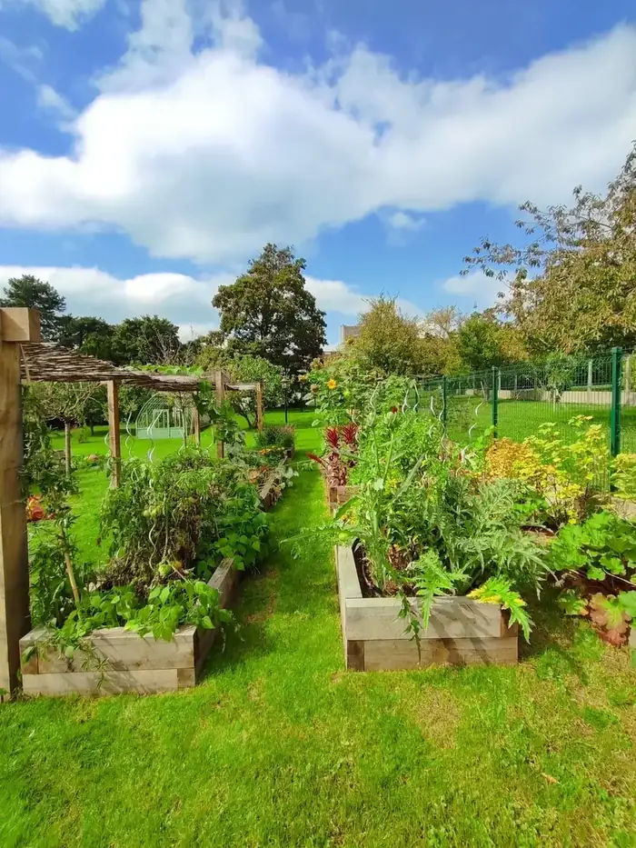 Jardin potager aménagé avec allées et carrés de culture