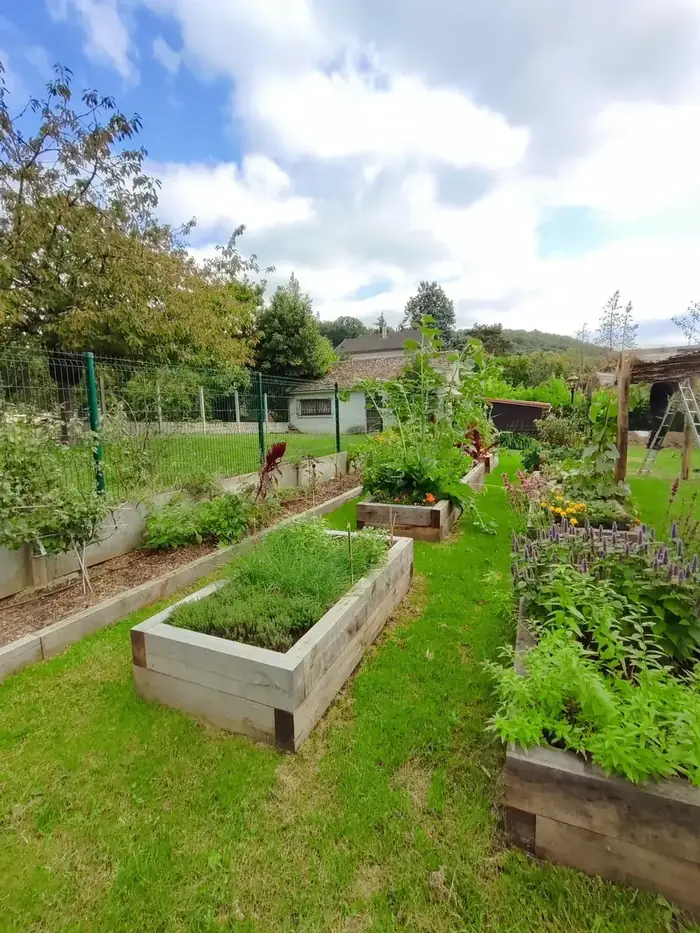 Potager en carrés bordés de bois dans un jardin